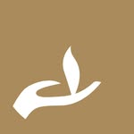 subtleenergies profile picture