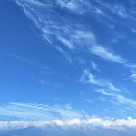 sudama_xx profile picture