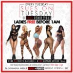 suesontuesdays profile picture