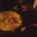 suffomoncloa profile picture
