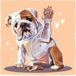 sugarbearthebully profile picture