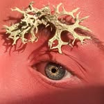 sugaronyoursouls profile picture