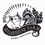 sugarshinerescue profile picture