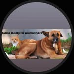 sulalaanimalrescue profile picture