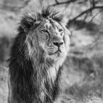 sulkh_creations profile picture