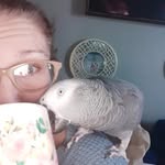 sully_and_the_beef profile picture