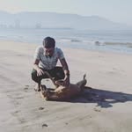 sumanraj3517 profile picture