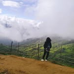 sumedha_54 profile picture