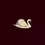 sumit_captures_ profile picture