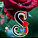 sumitkumargupta774651 profile picture