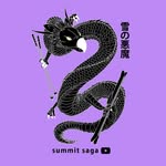 summit.saga profile picture