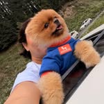sunanda_ss profile picture