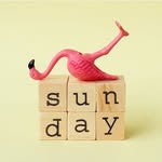sundaysessionslive profile picture