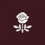 sundaystudioagency profile picture