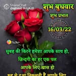 sunilsinghsunilsingh757 profile picture