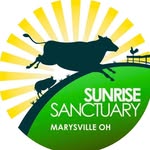 sunrisesanctuary profile picture