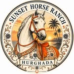 sunset.horse.ranch.hurghada profile picture