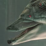 sunshin310 profile picture