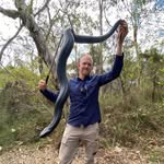 sunshinecoastsnakecatchers profile picture