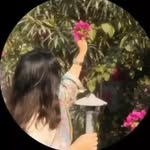 superbb.___starlyt___ profile picture