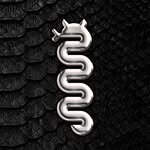 supersnake profile picture