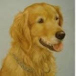 super_wolfy23 profile picture