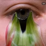 supinatra profile picture