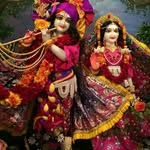 sura979253 profile picture