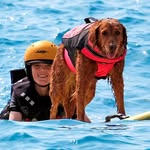 surfdogricochet profile picture