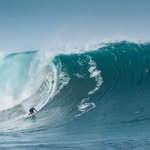 surfnavarro profile picture