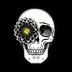 sutterink profile picture
