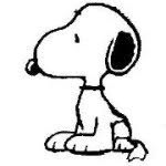 suveer_b profile picture