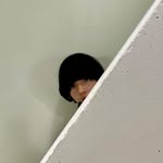 suzileenaars profile picture