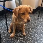 suzynpupman profile picture