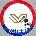 sv.league profile picture