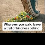 swaleha_elyas profile picture