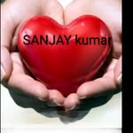 swan.7632245 profile picture