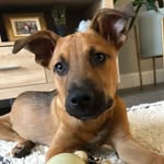 sweetchief_ profile picture