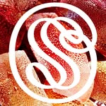 sweetsabacandy profile picture