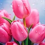 swethaa_laxmi profile picture
