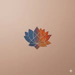 syapastudios profile picture