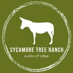 sycamoretreeranch profile picture