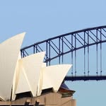 sydney profile picture