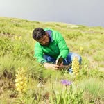 syed.alhussaini profile picture
