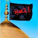 syedaarbab2018 profile picture