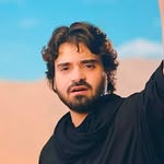 syedalijee profile picture