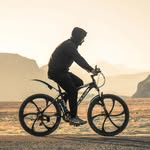 syed_murtazaa110 profile picture