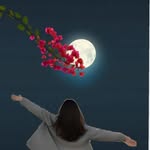 syed_saba_0x profile picture