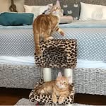 sylvie_and_jules_thelovebugs profile picture