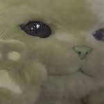 symbiotevodka profile picture